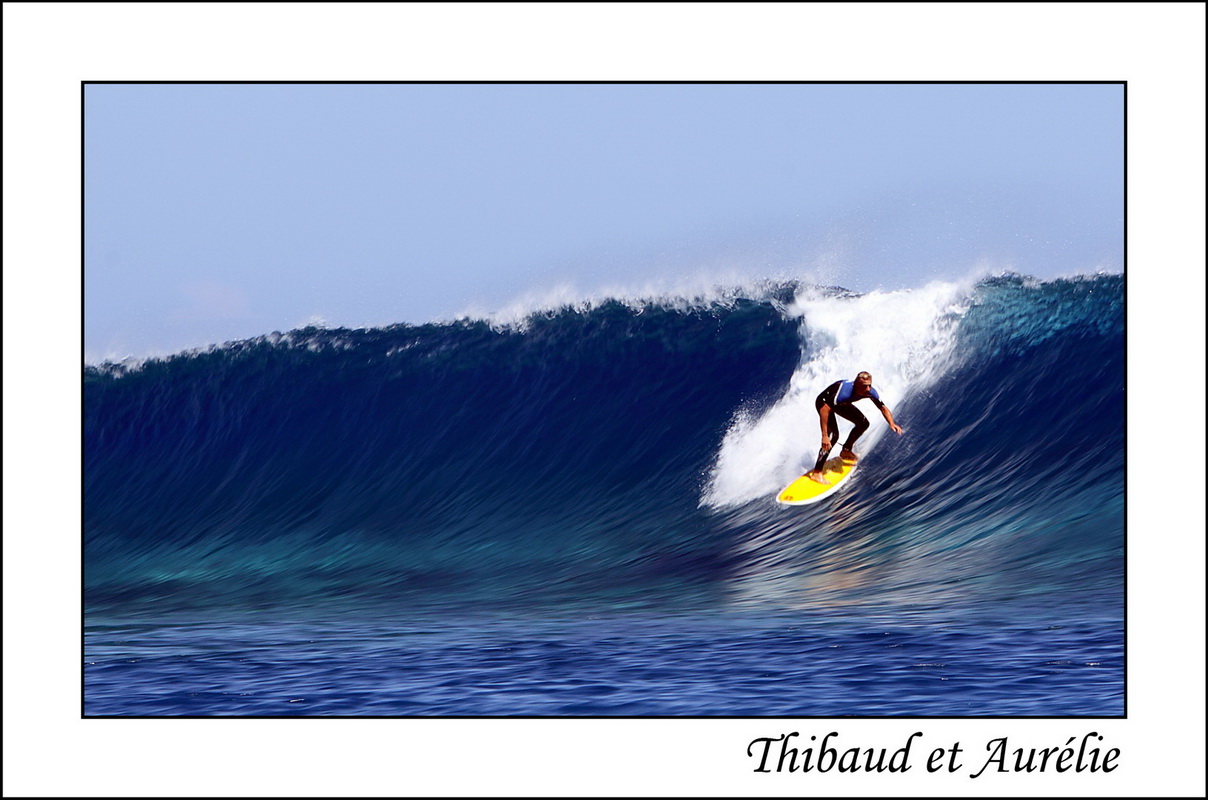 2009   08   Plongee Bora bora 09